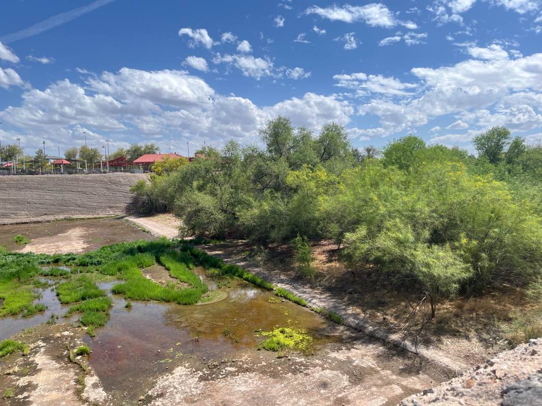 walking near me in Rio Vista Community Park in spring
