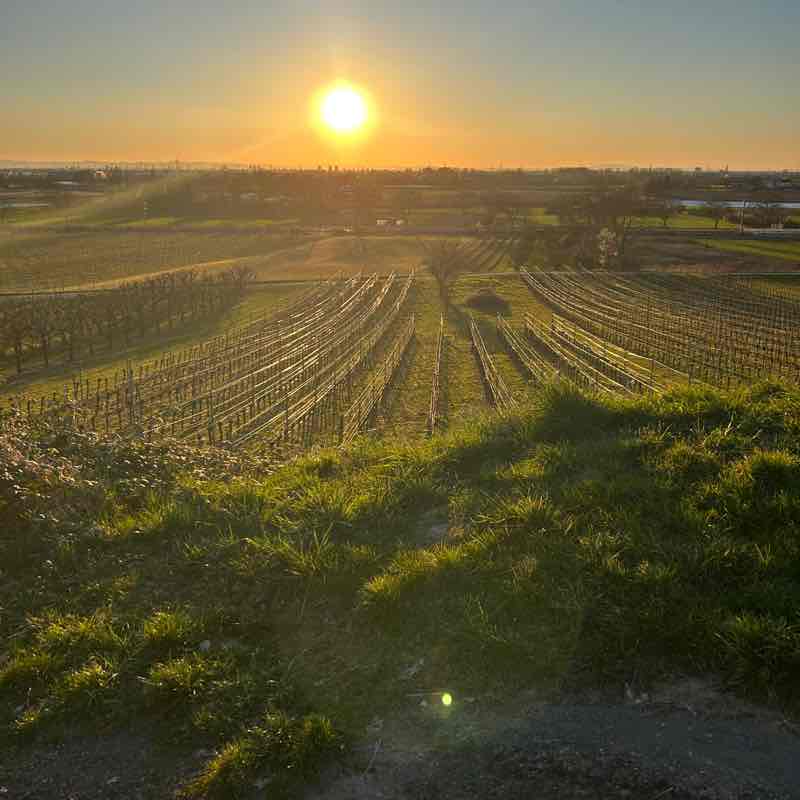 ETAP Sibylle L 🇩🇪 post image