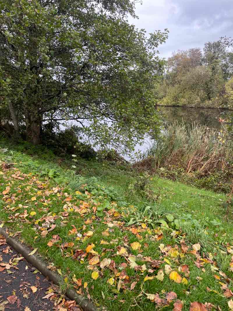 walking near me in Waterworks Park in autumn