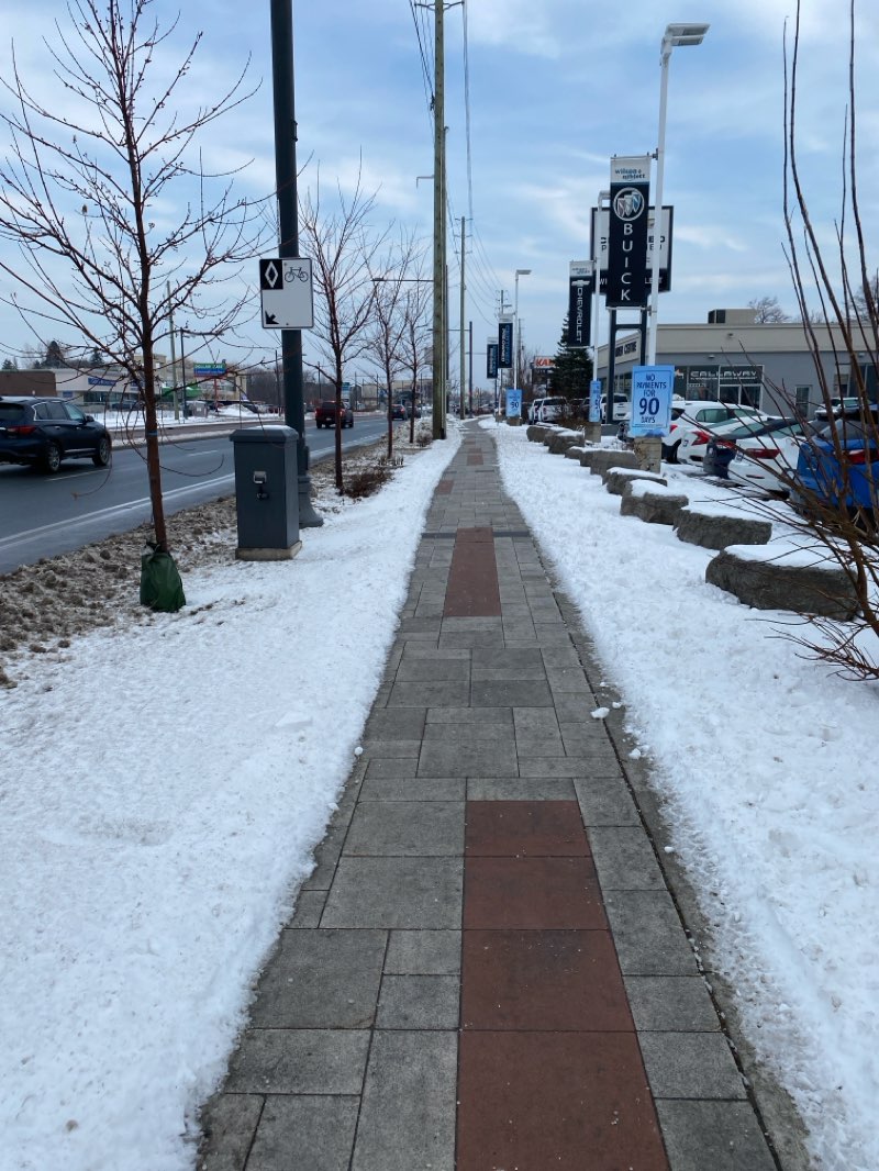 walking near me in Town Park in winter