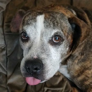 Casey Martin profile