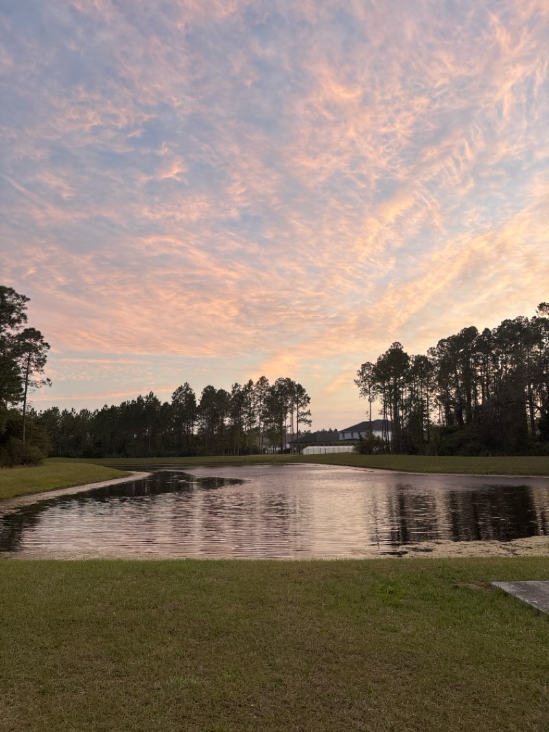 walking near me in Treaty Park in spring