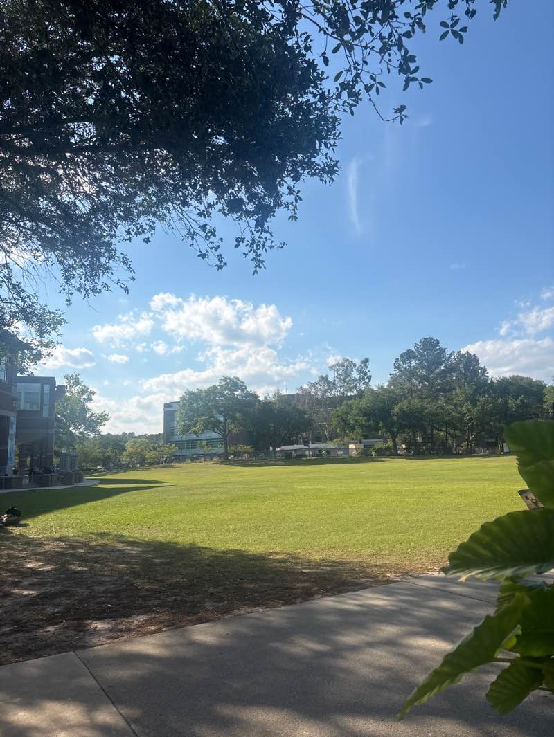 walking near me in UNF Green in spring