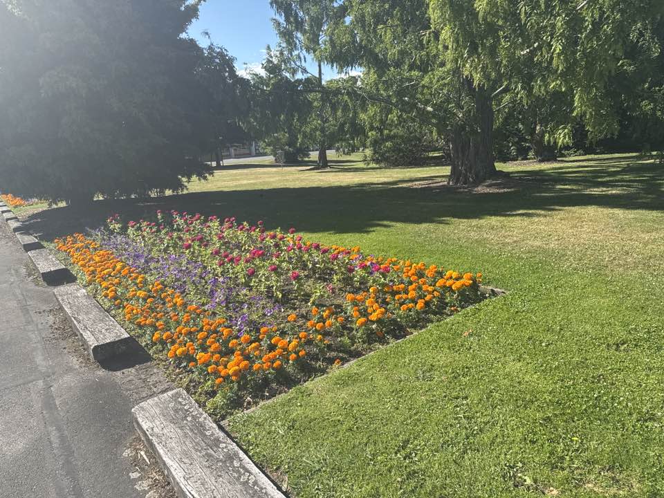 walking near me in Isel Park in summer