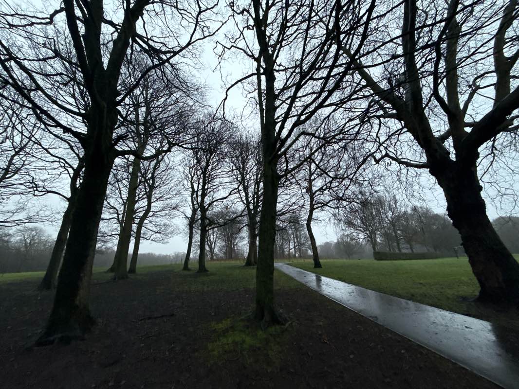 walking near me in Rough Wood Country Park in winter