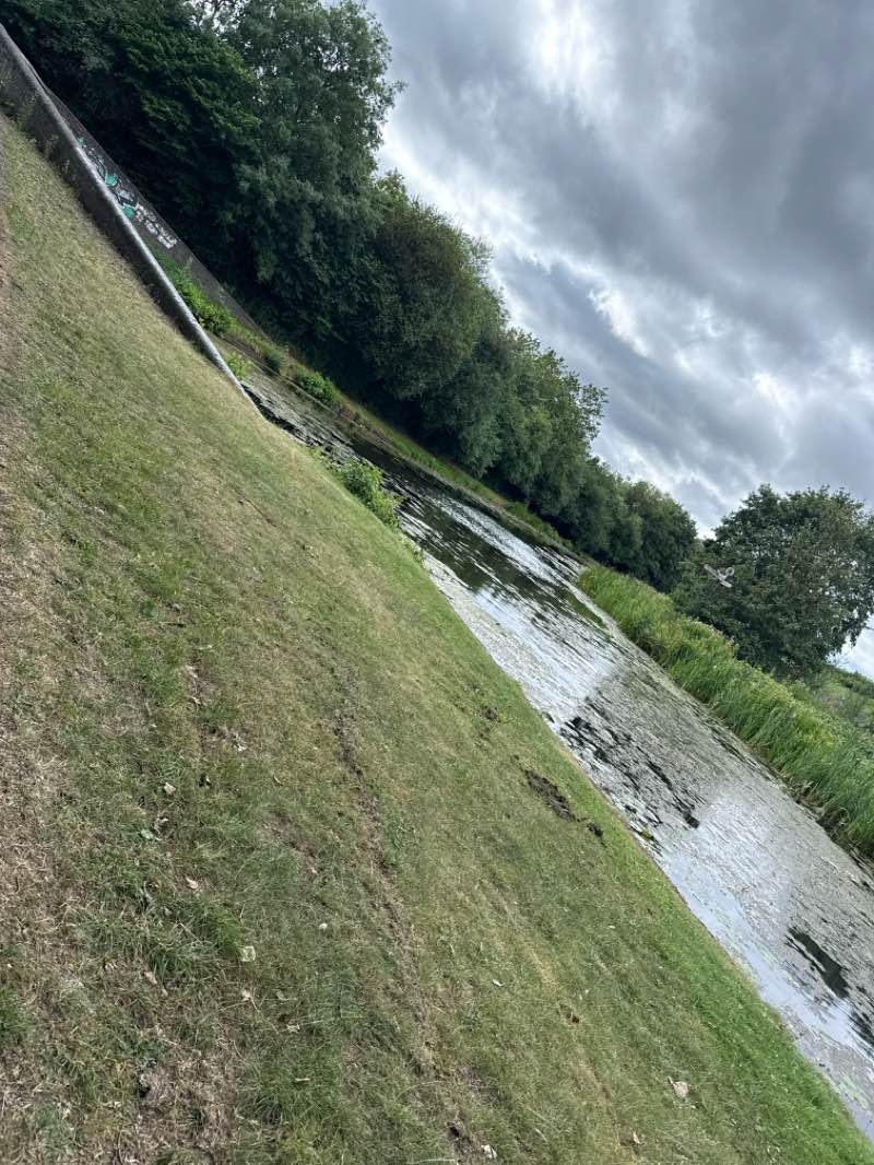 walking near me in Leamore Park in summer