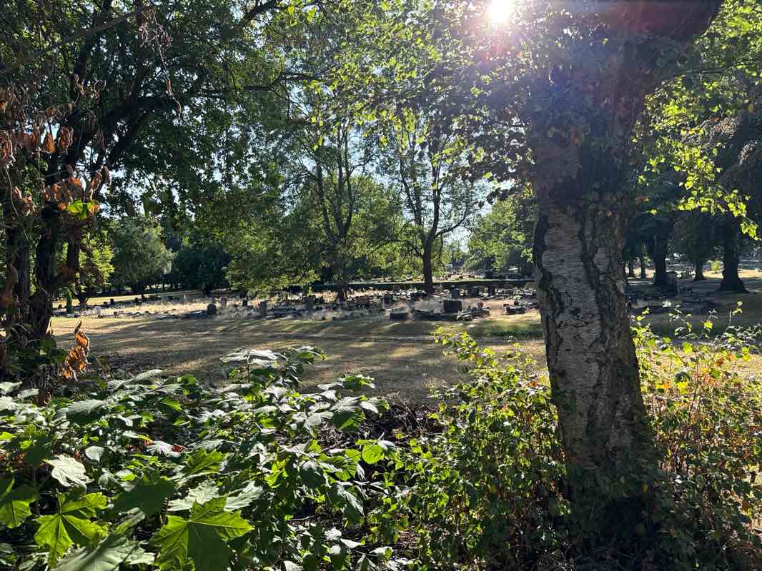 walking near me in Bloxwich Road Park in summer
