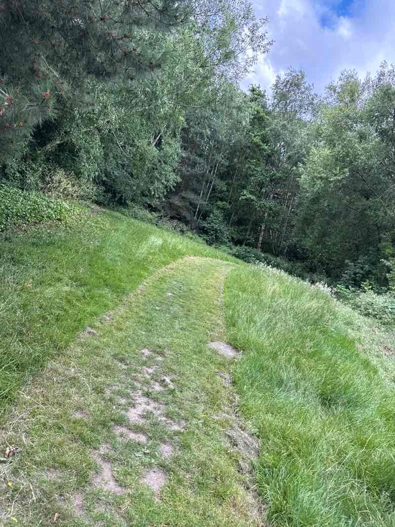 walking near me in Highgate Drive Open Space in summer
