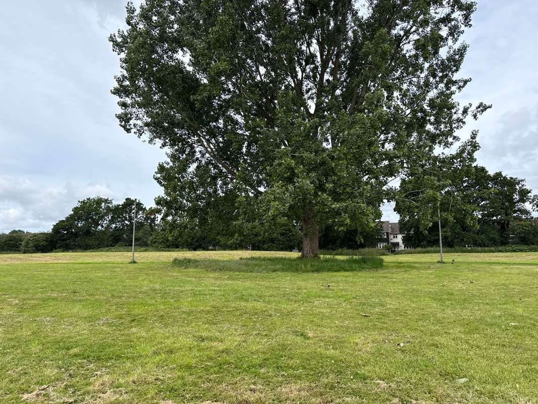 walking near me in Bunbury Green in summer