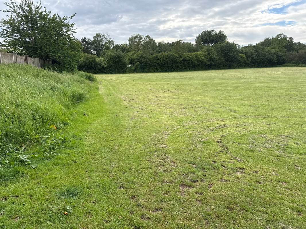 walking near me in Bloxwich Community Orchard in summer