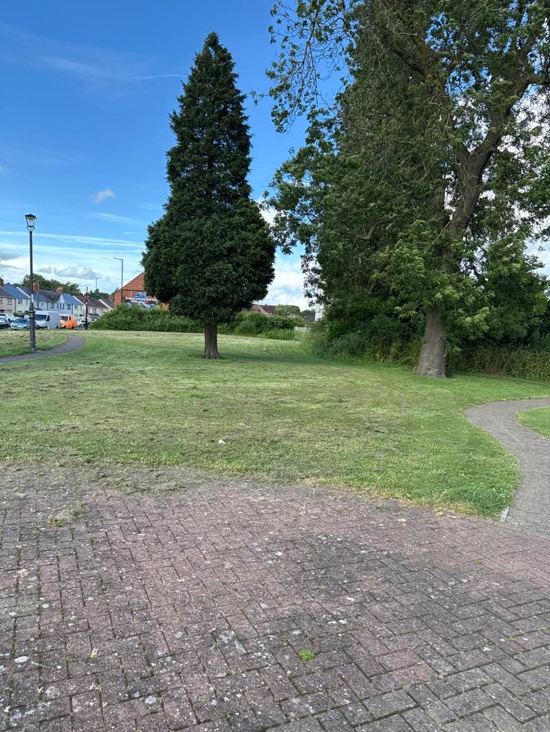 walking near me in New Invention Community Green in summer