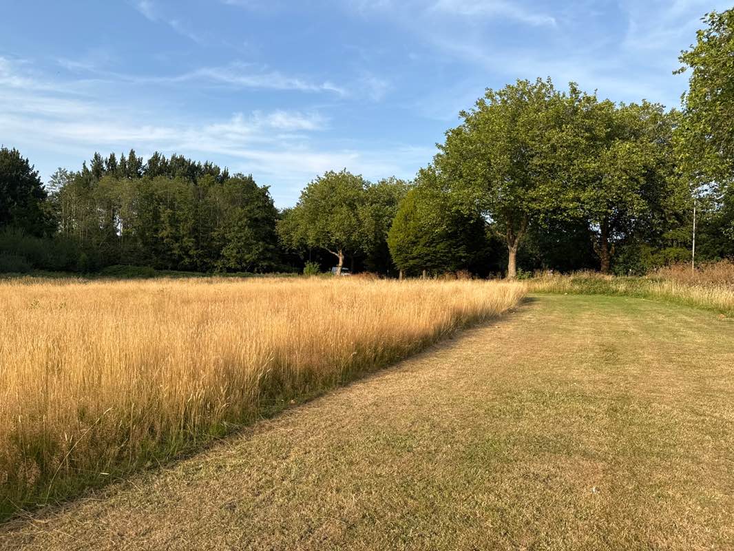 walking near me in The Delves in summer