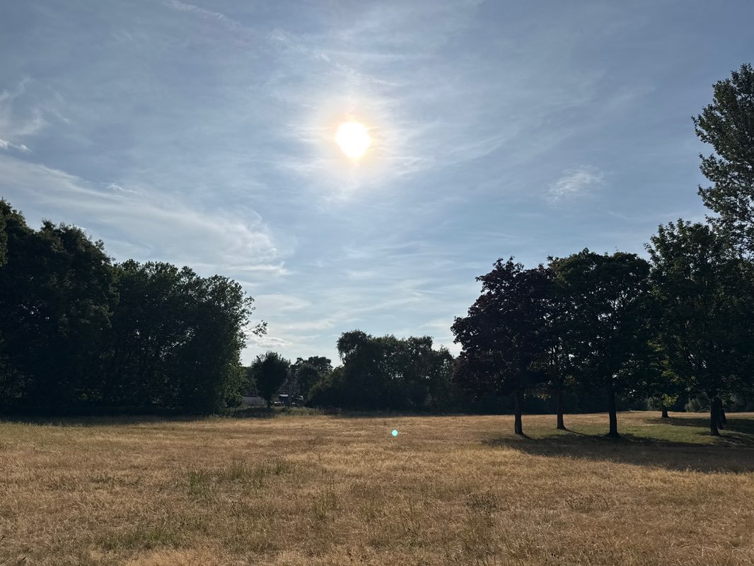 walking near me in Gengars Park in summer