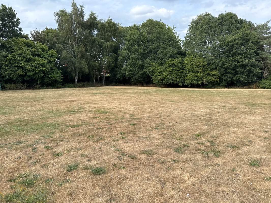 walking near me in Oakfield Park in summer