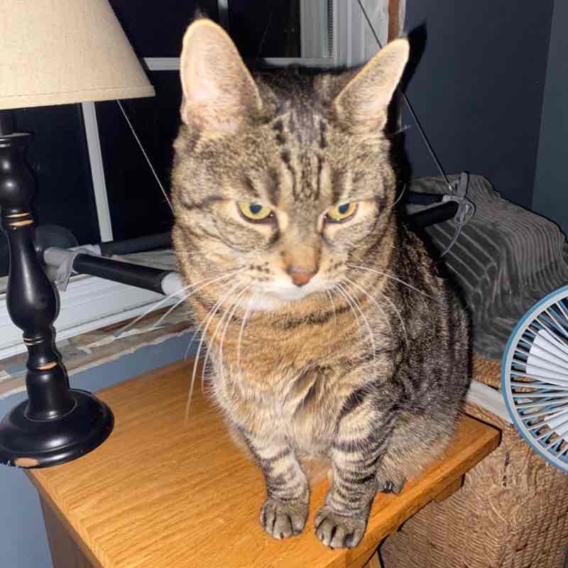 Spectacle Squad Kathy post image