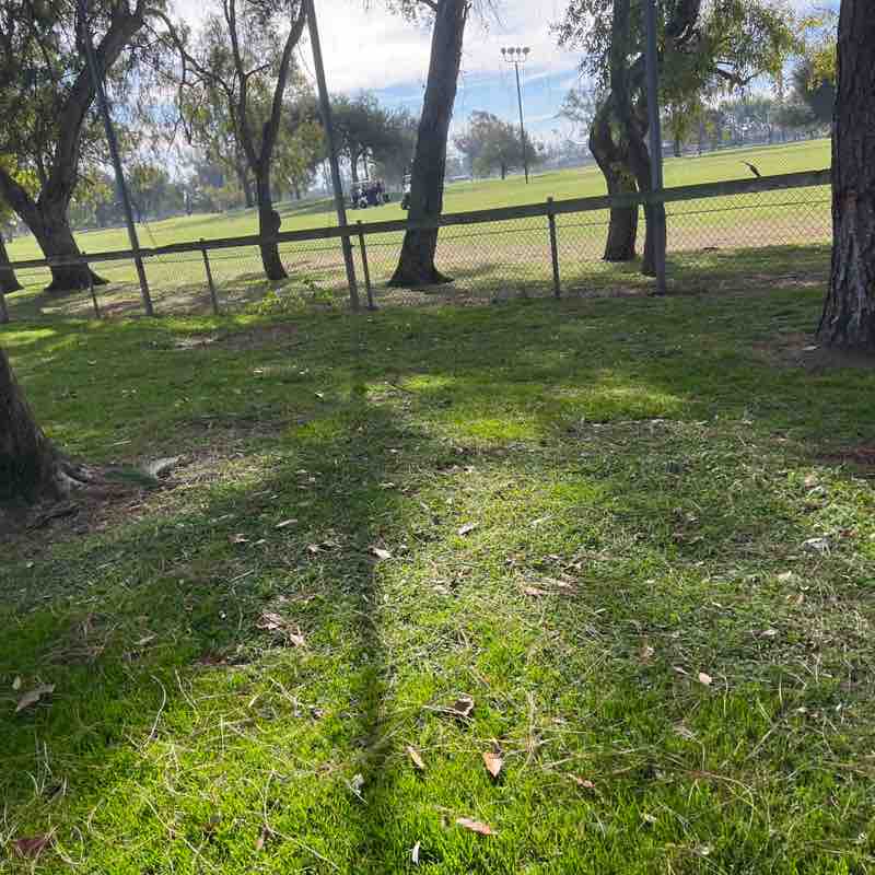 Jonathan Nguyen post 1