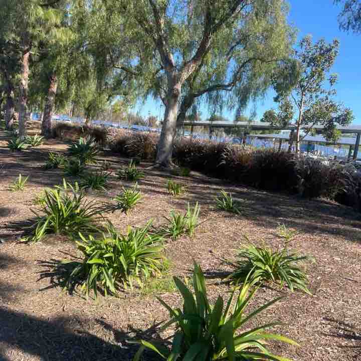 Jonathan Nguyen post 1