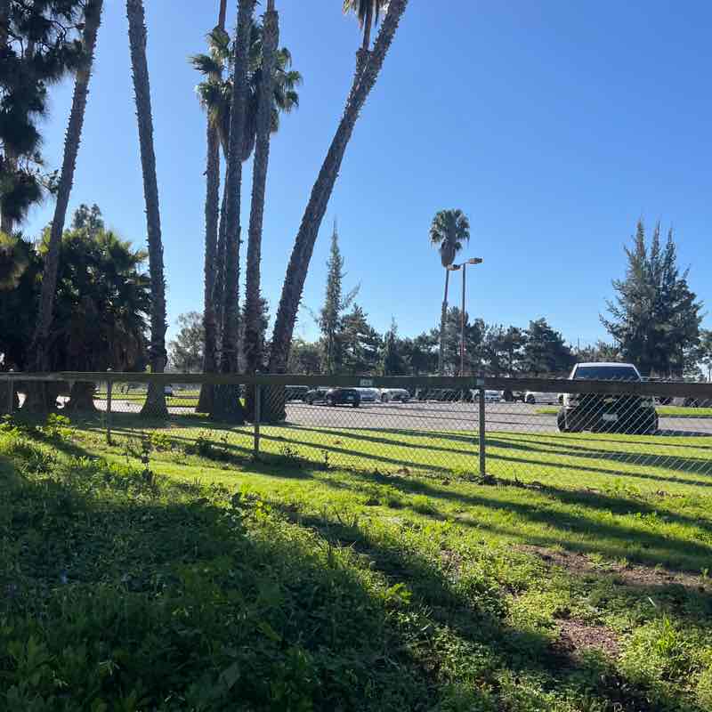 Jonathan Nguyen post 1