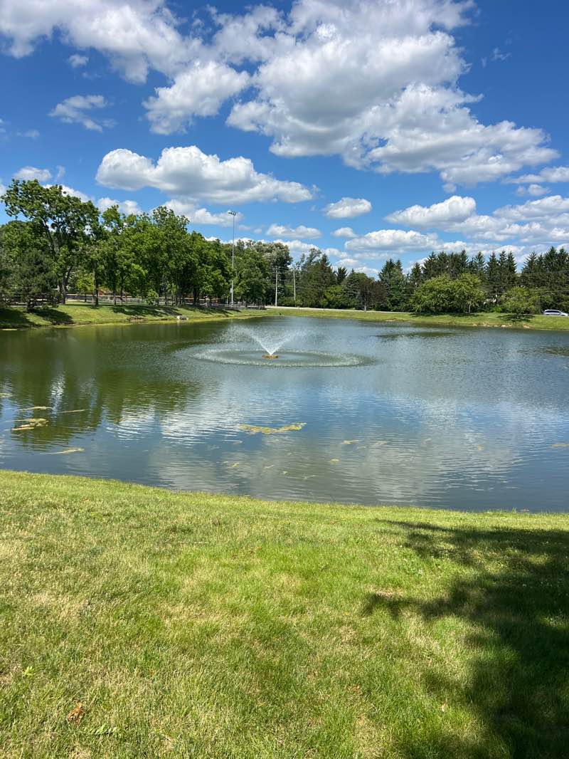 walking near me in Avery Park in summer
