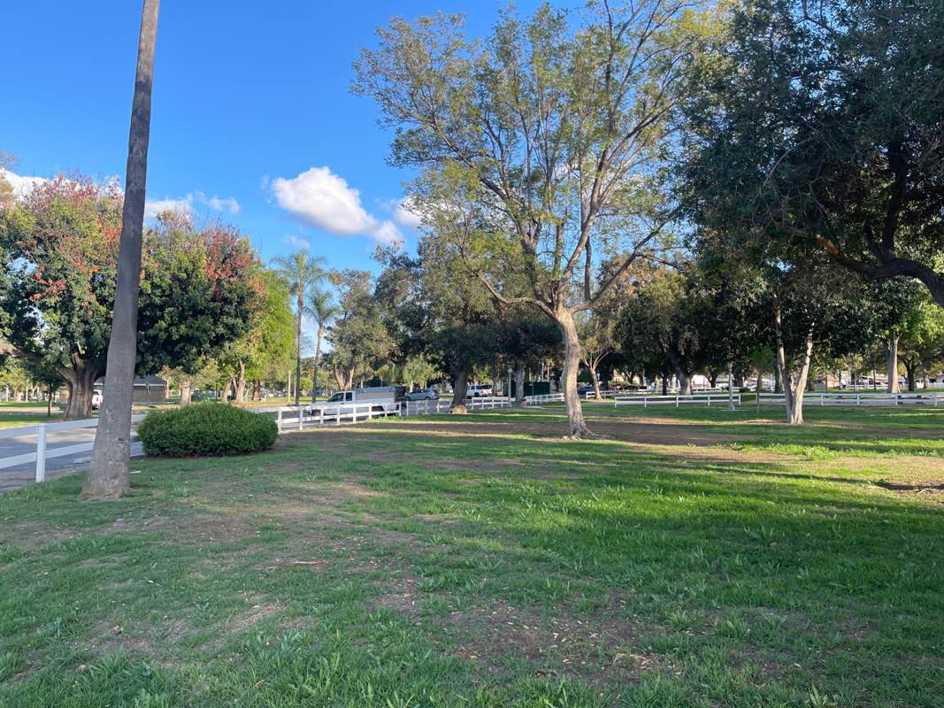 walking near me in City Park in spring