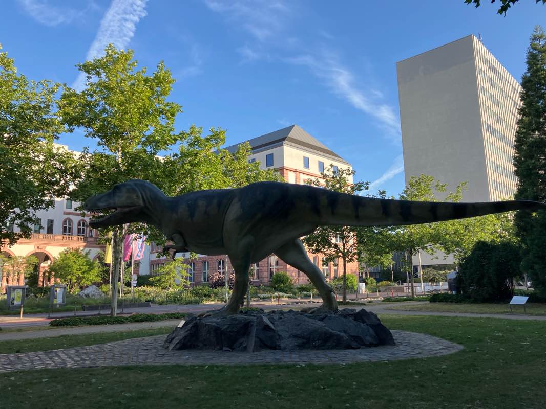 walking near me in Senckenberganlage in spring