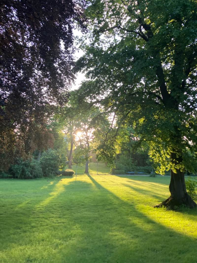 walking near me in Rheinpark in spring