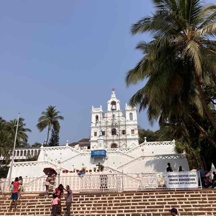 Manfred  🐯🇩🇪🌍🇷🇺 post 1