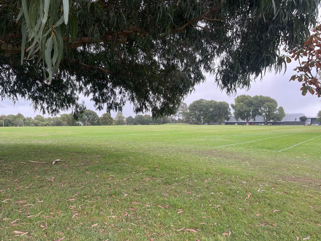 walking near me in Tai Tapu Domain in summer