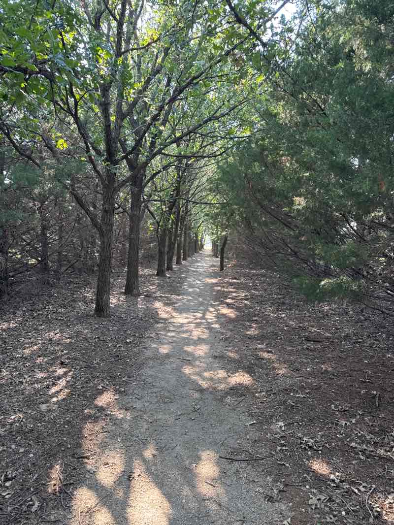 walking near me in Jerry Ivey Park in summer