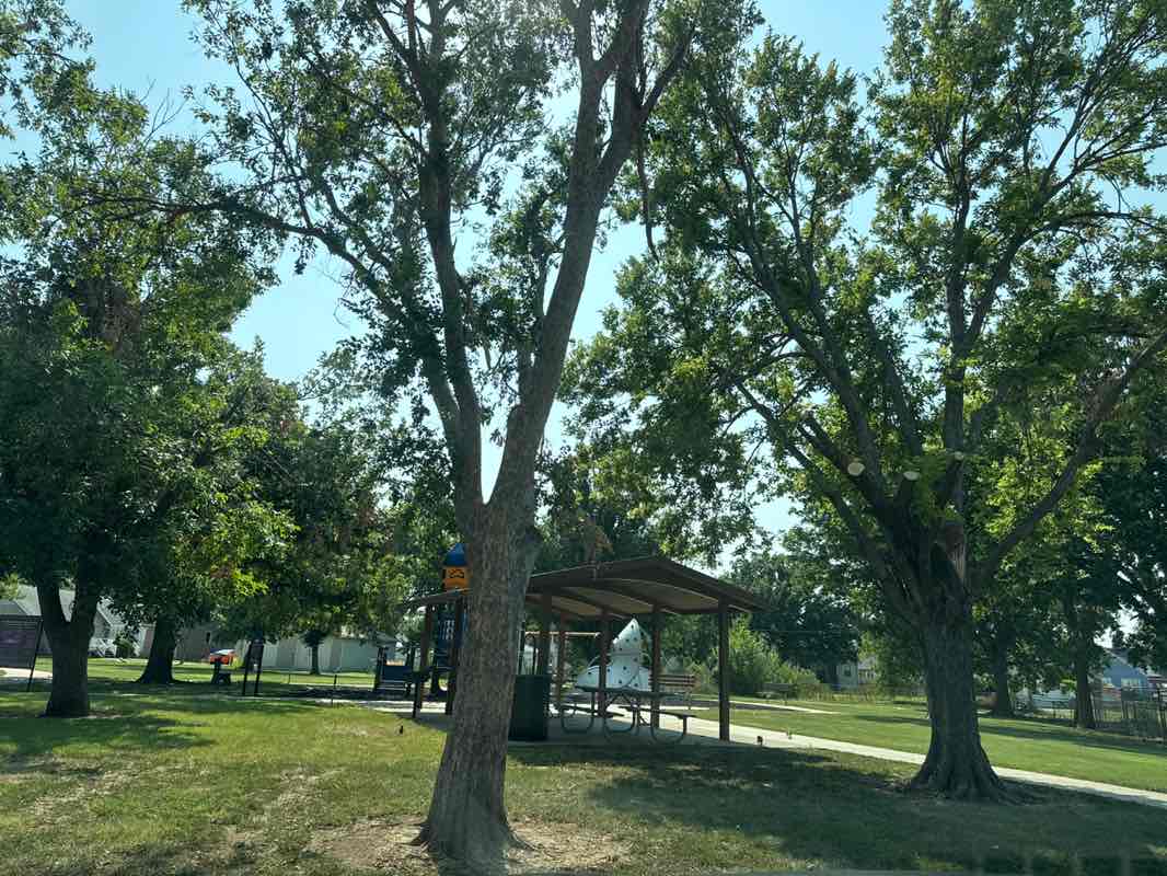 walking near me in Steve Hawley Park in summer