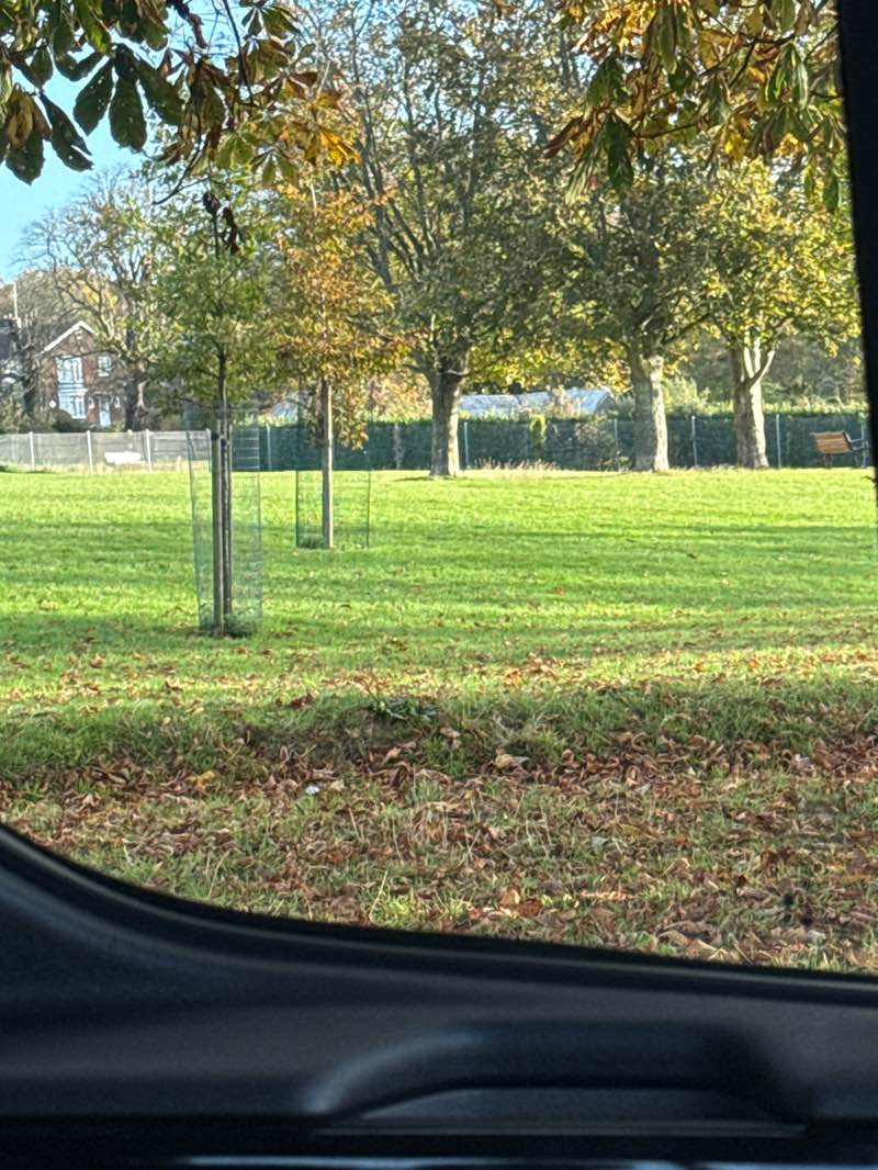 walking near me in Lancing Manor Park in autumn