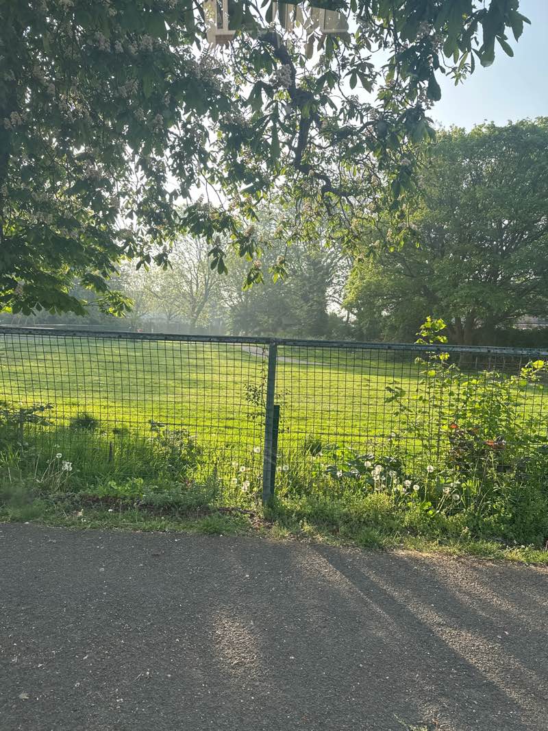 walking near me in Lyons Farm Open Space in spring