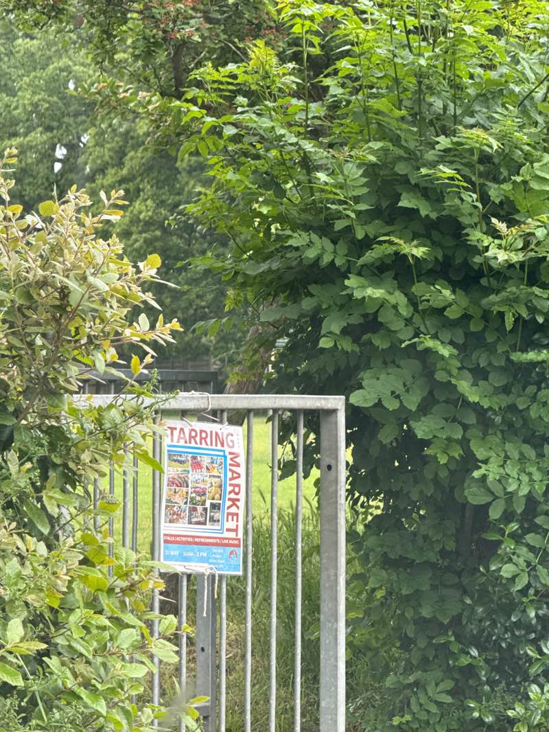 walking near me in Tarring Park in spring