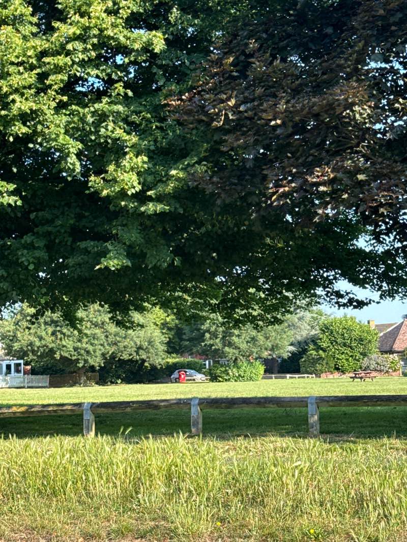 walking near me in Ferring Green in summer