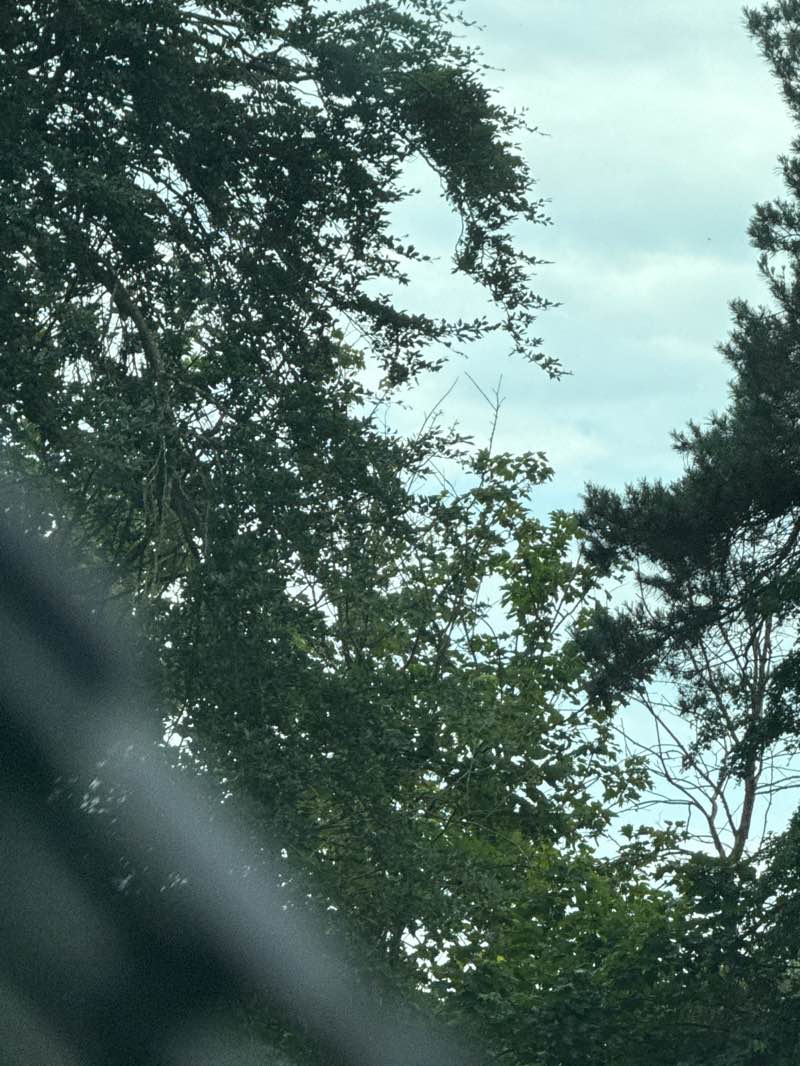 walking near me in Langmeads in summer