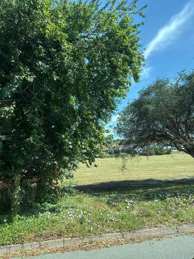walking near me in Manor Park Gardens in summer