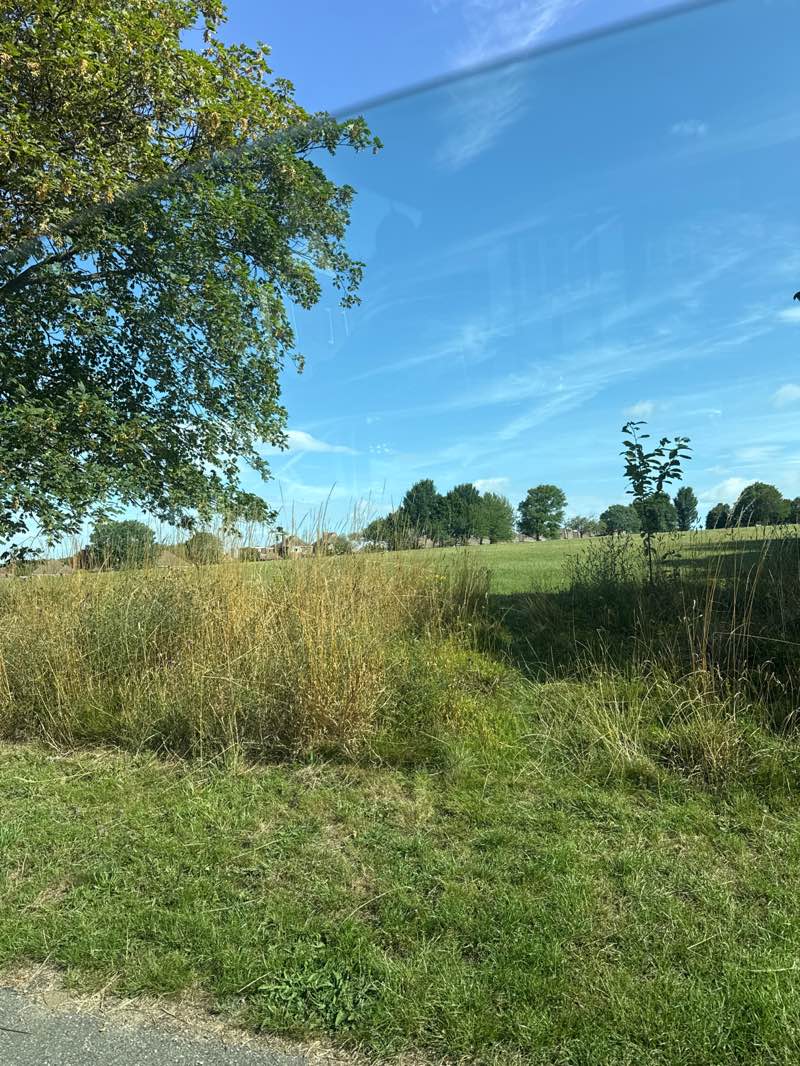 walking near me in Benfield Valley in autumn