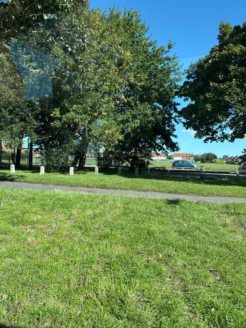 walking near me in Southfields Park in autumn