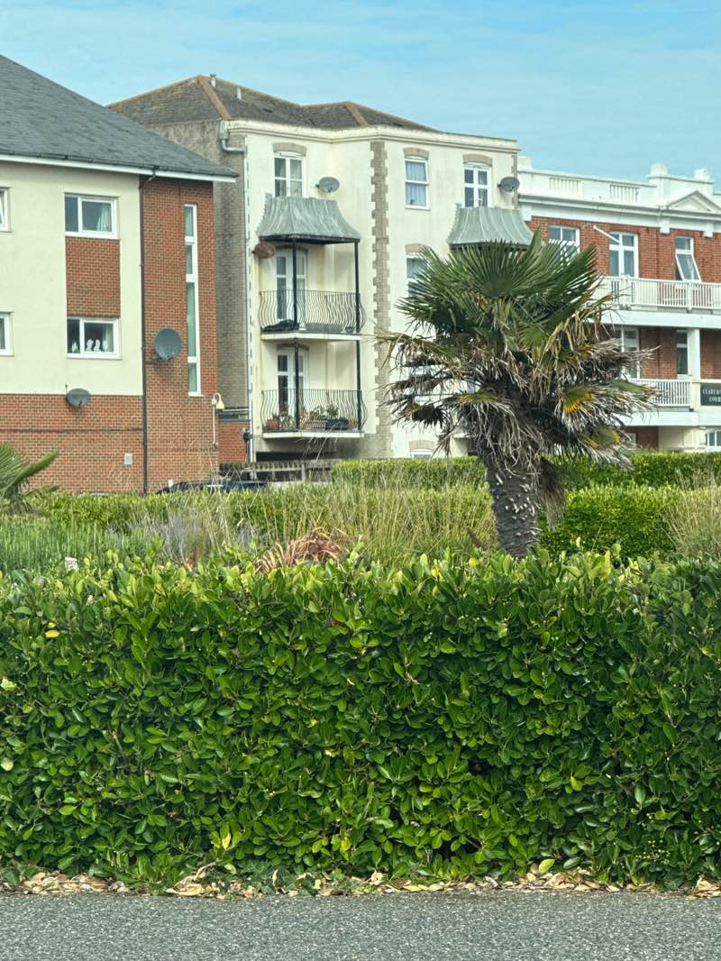 walking near me in Marine Park Gardens in autumn