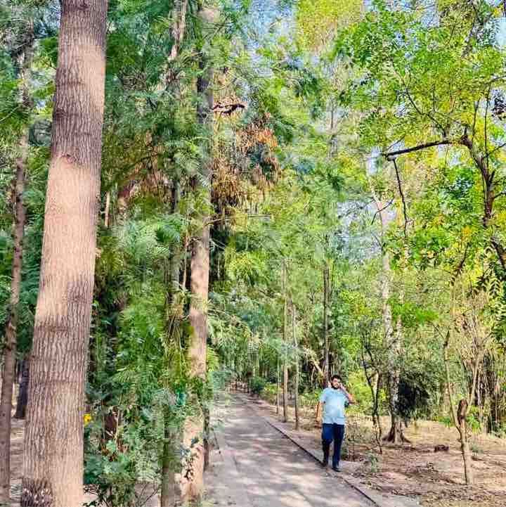 Satya post 2