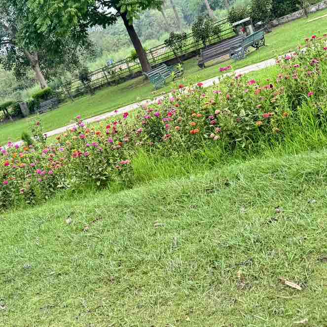 Satya post 1