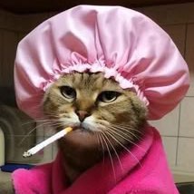 aliyalebedeva11 icon