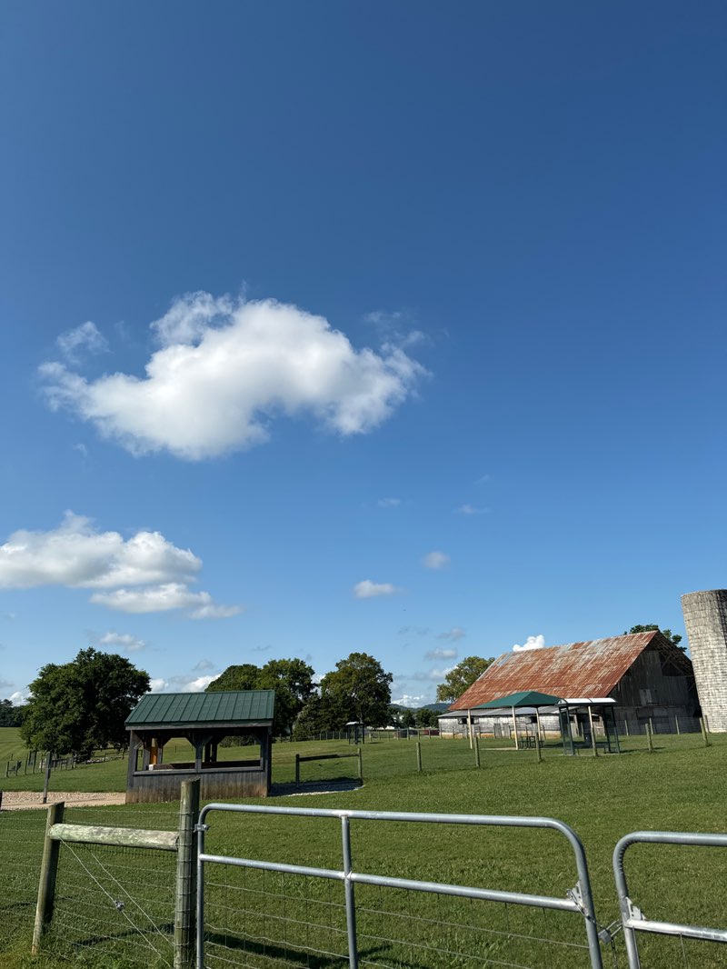 walking near me in The Park at Harlinsdale Farm in autumn