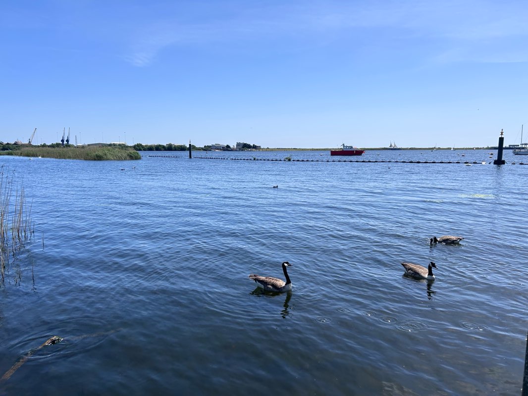 walking near me in Canal Park in summer