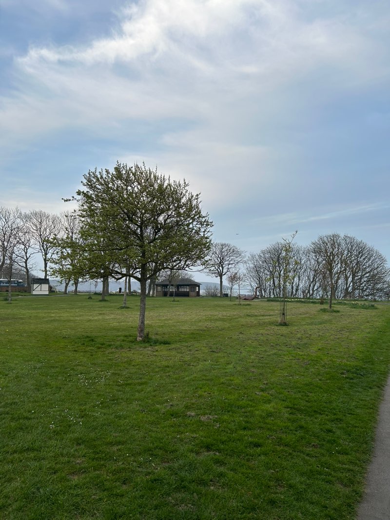 walking near me in Glen Gardens in spring