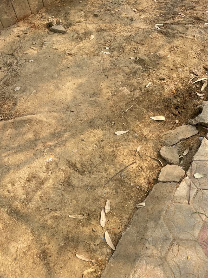 walking near me in Tribhuwan Park in spring