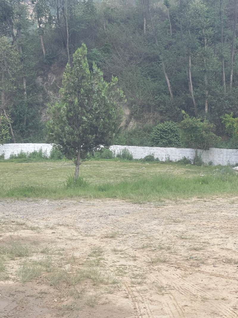 walking near me in Kathmandu Fun Valley (Water Kingdom) in spring