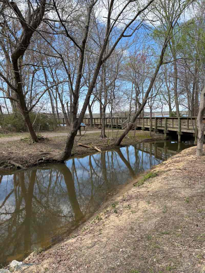 walking near me in City Park in spring