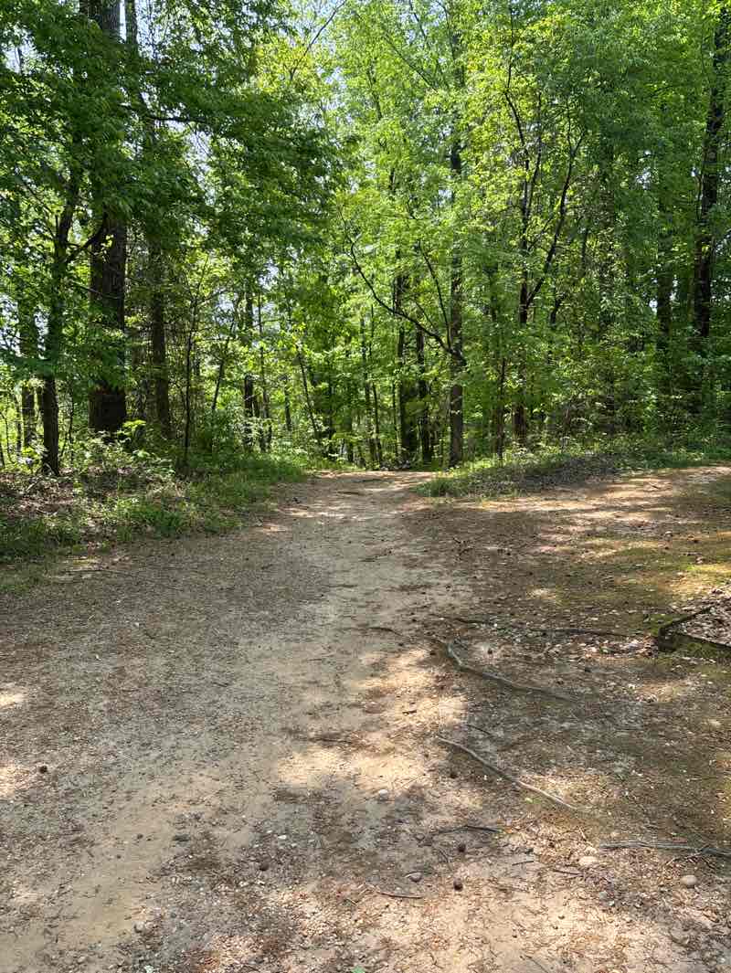 walking near me in Dutch Gap Historical Park in spring