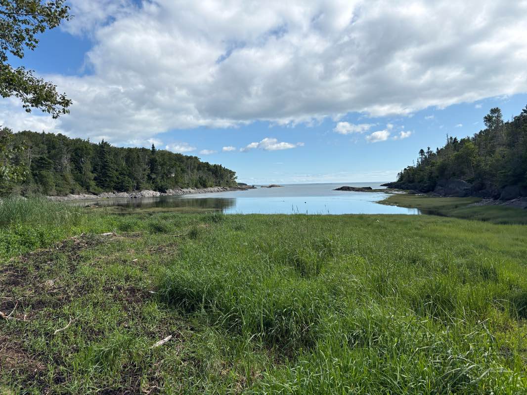 walking near me in Parc marin du Saguenay–Saint‑Laurent in summer